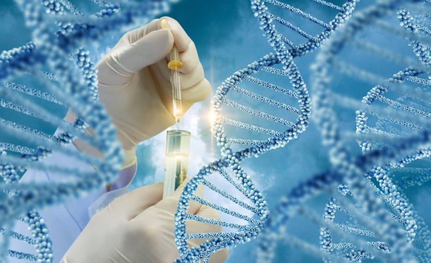 Genetic Testing Market is Estimated to Witness High Growth Owing to Advancements in Direct-to-Consumer Genetic Testing