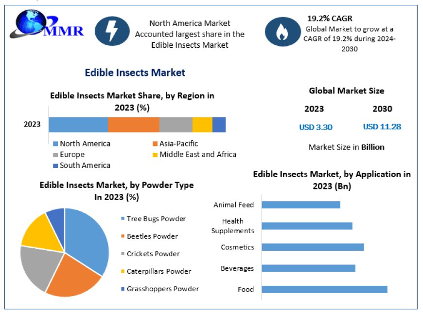 Edible Insects Market Review, Breadth, Major Catalysts, and Future Developments