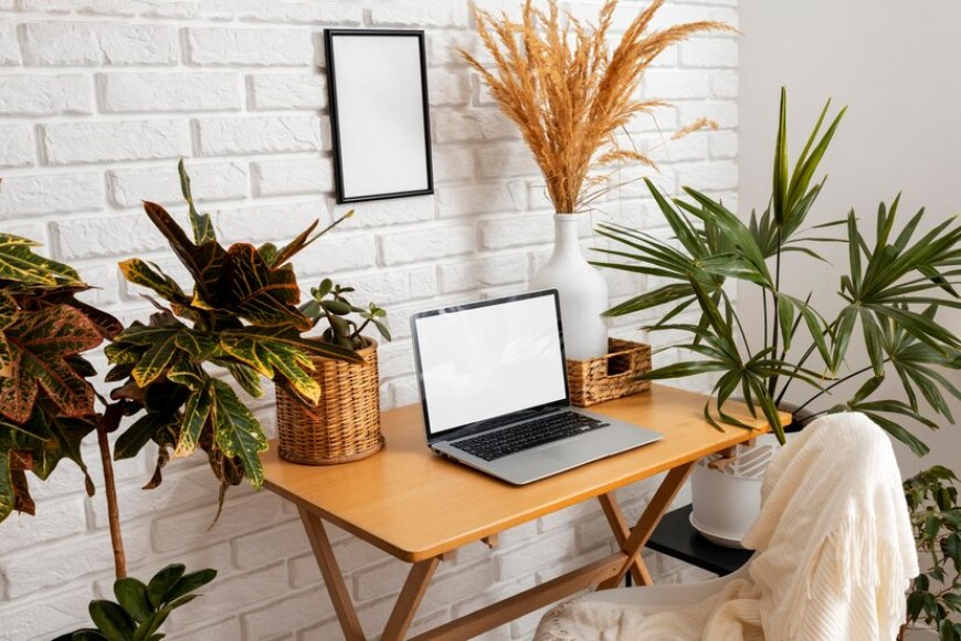 Best Plants to Decorate Your Office Space