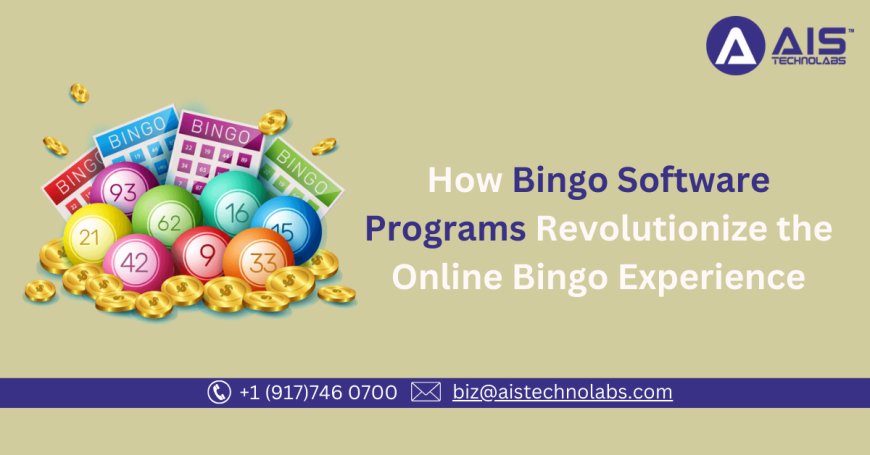 How Bingo Software Programs Revolutionize the Online Bingo Experience