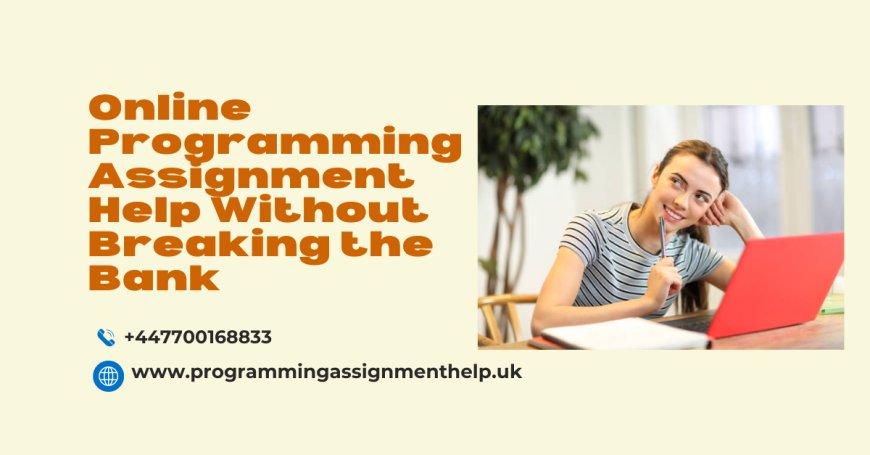 Online Programming Assignment Help Without Breaking the Bank