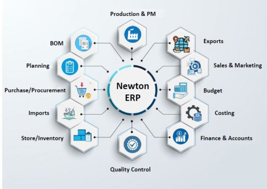 What Is ERP? | Newton Software