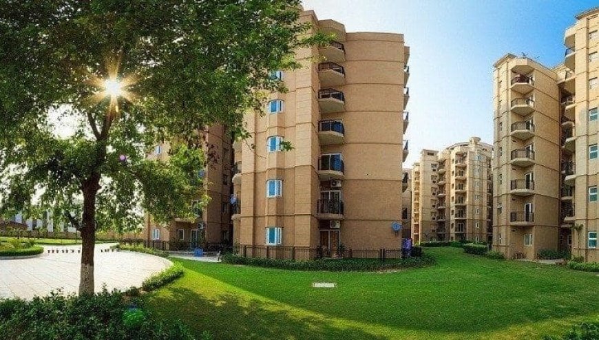 How To Choose The Best Locations to Buy Flats in Chandigarh?