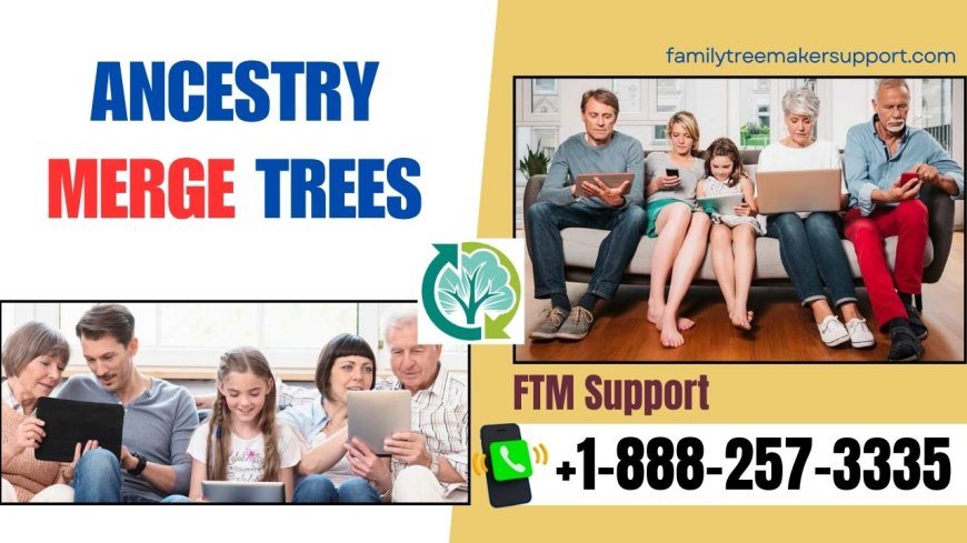 Ancestry Merge trees