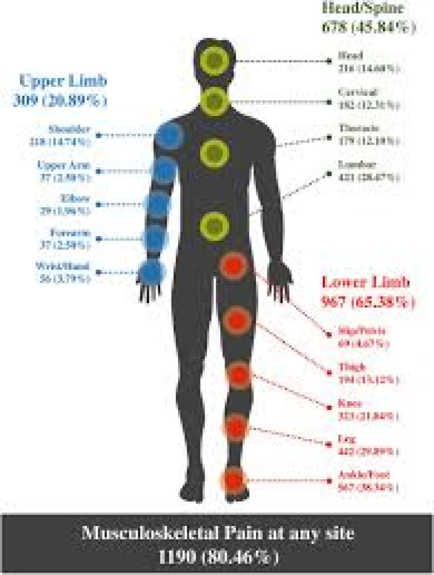 Carisoprodol for Muscle Spasms: What to Expect