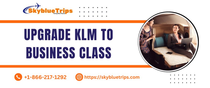 Travel in Style with KLM Business Class