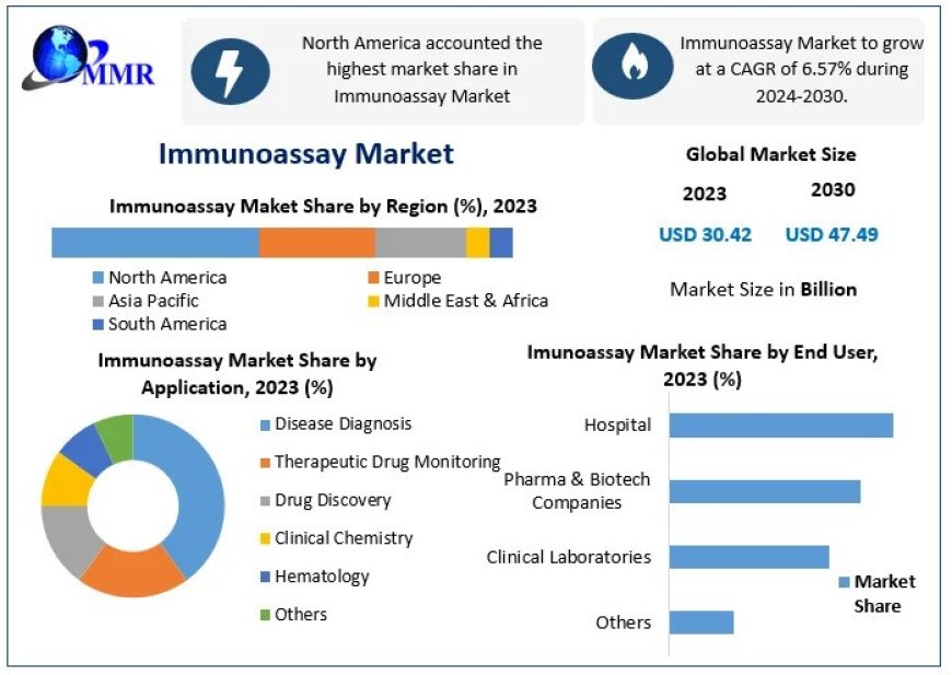 Immunoassay Market Industry Demand, Business Growth, Statistics and Research Methodology by Forecast to 2030