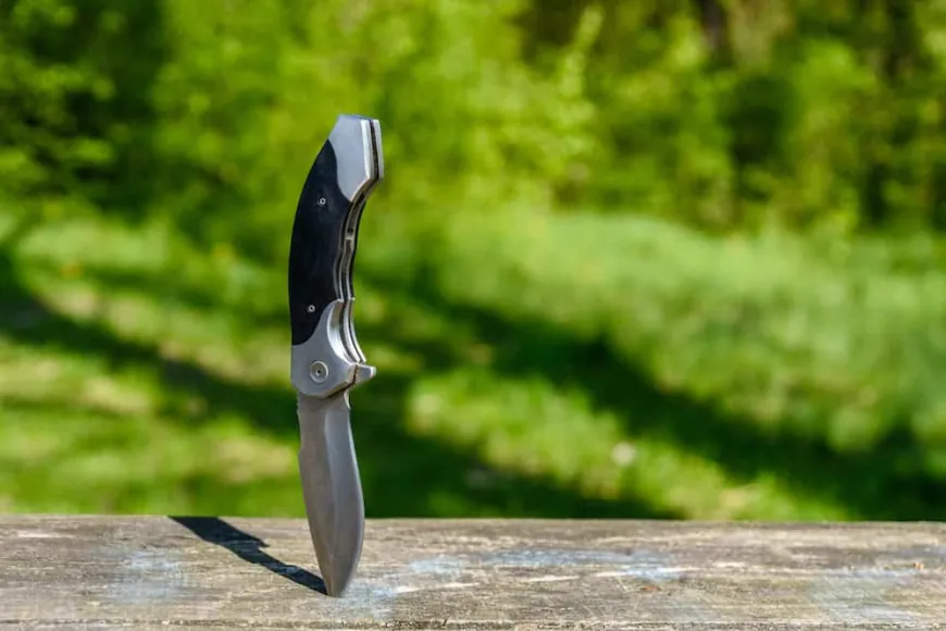 High-End Folding Knives: The Best Luxury Options for Knife Aficionados