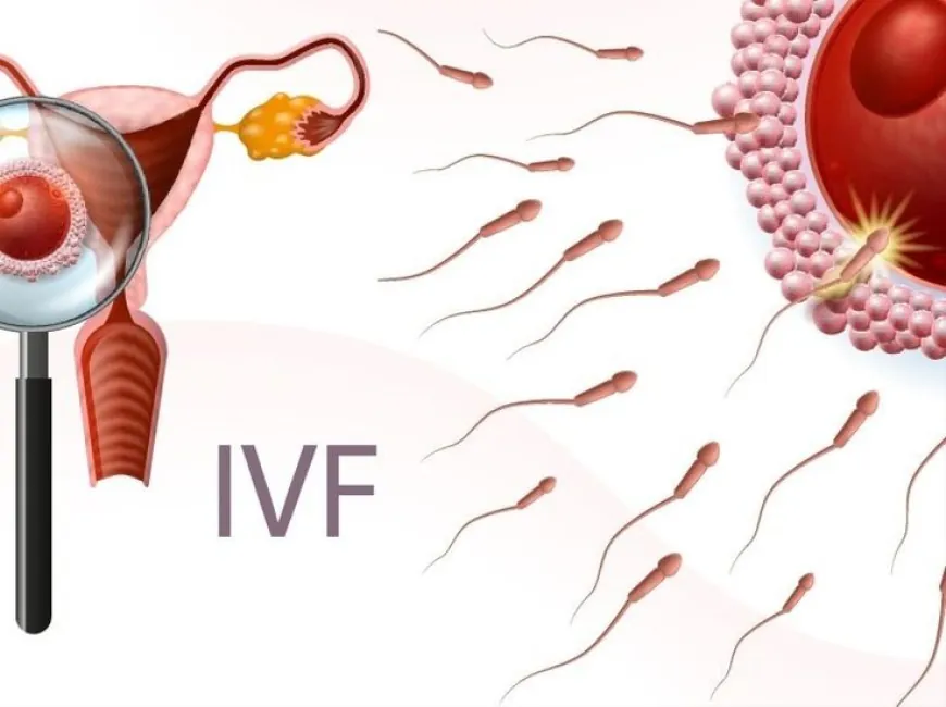 Improving IVF Timing with the ERA Test: A Pathway to Higher Success Rates