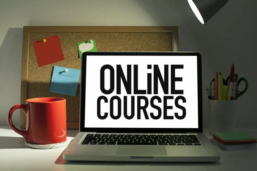 Master Graphic and Web Design With Comprehensive Courses