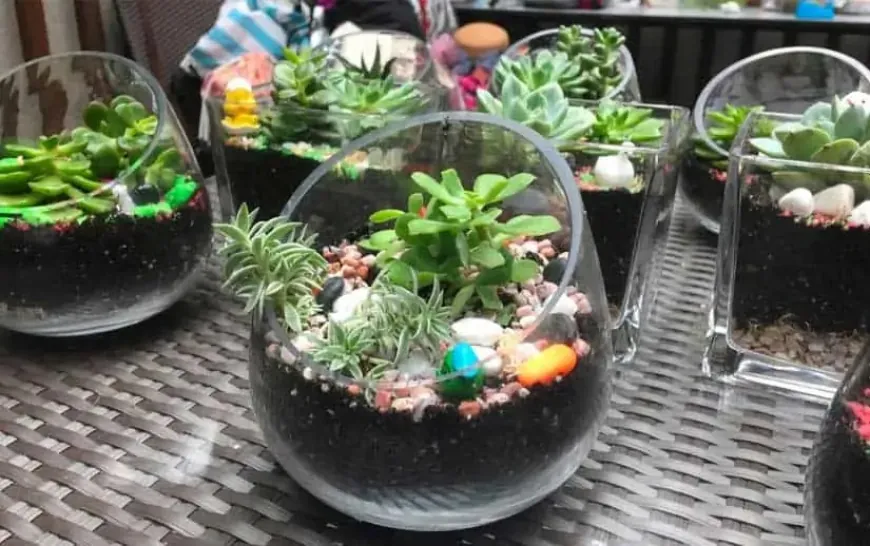 Why You Should Attend a Terrarium Workshop in Singapore