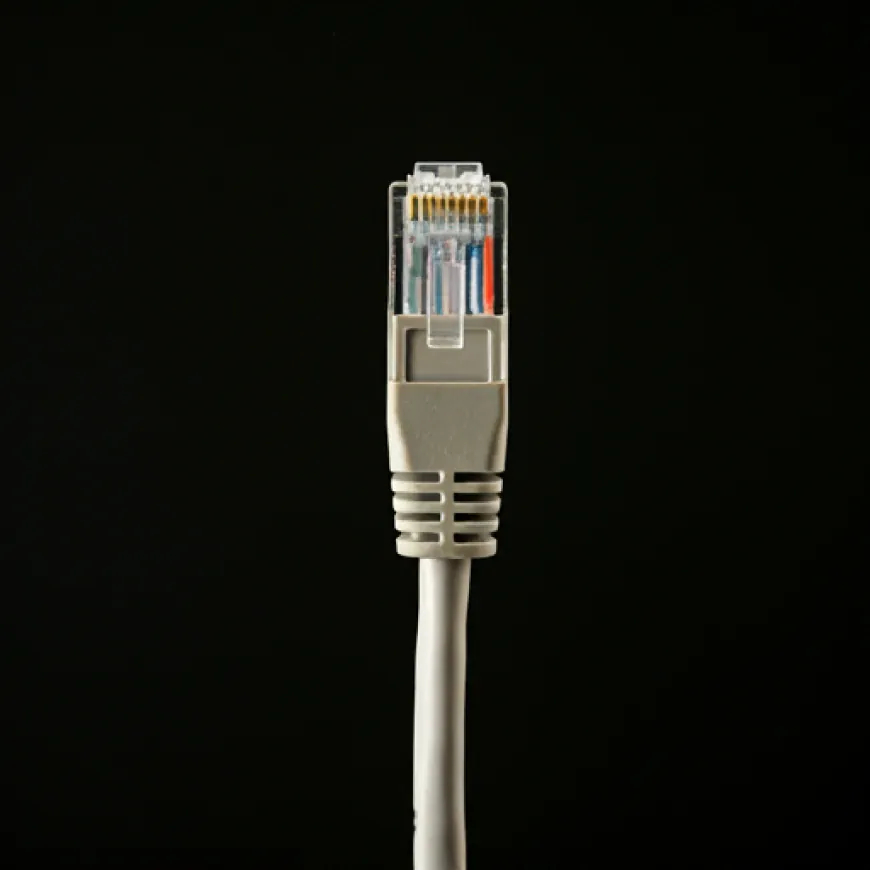 The Growth and Evolution of the Ethernet Cable Market