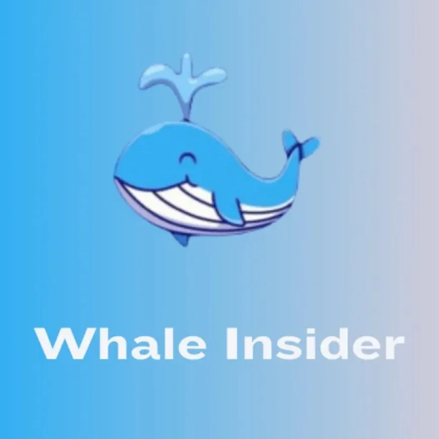 Stay Ahead with Whale Insider Real Time Crypto Updates and Insights