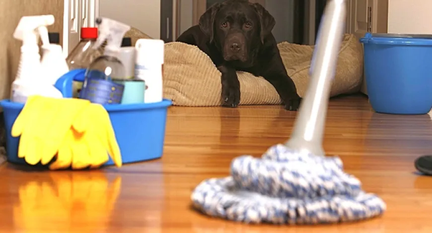 5 Cleaning Mistakes You Might Be Making (and How To Avoid Them)