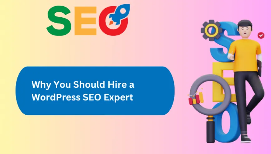 Why You Should Hire a WordPress SEO Expert Now