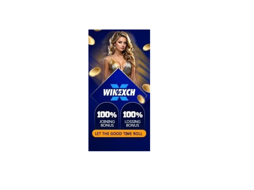 The Best Losing Bonus in the Casino and Sport Games On Winexch