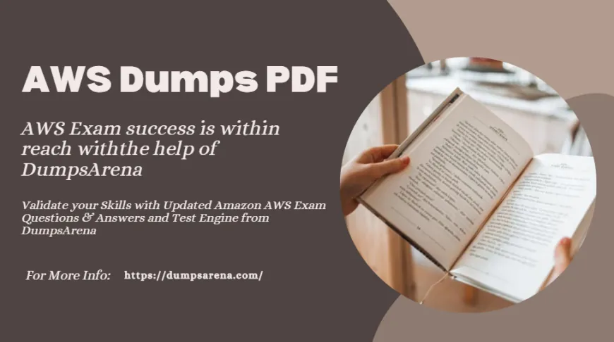 What’s in Dumpsarena AWS Dumps PDF?