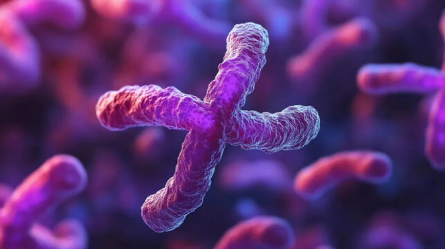 Trisomy X Size Grow Exponentially To 2033