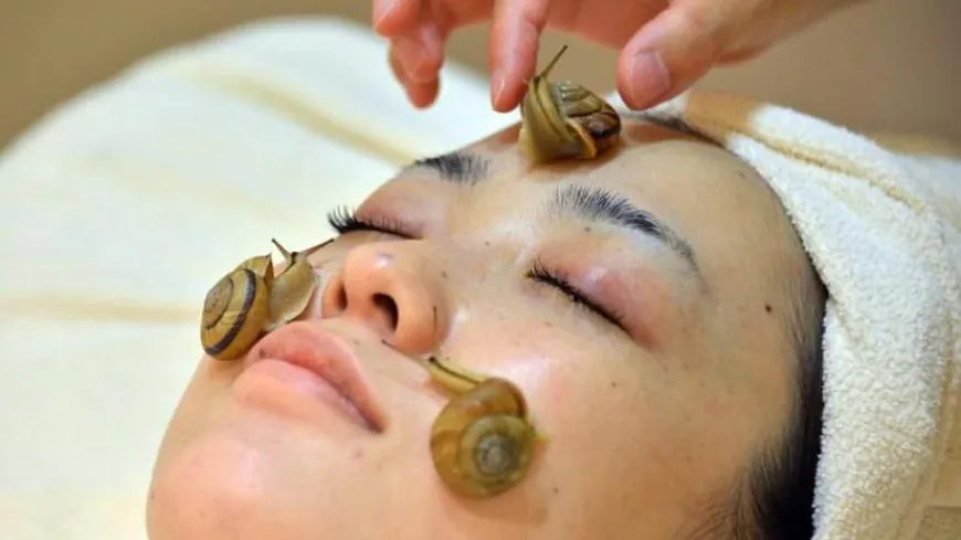 Snail Beauty Products Market is Estimated to Witness High Growth Owing to Rising Demand for Natural and Organic Skin Care Products