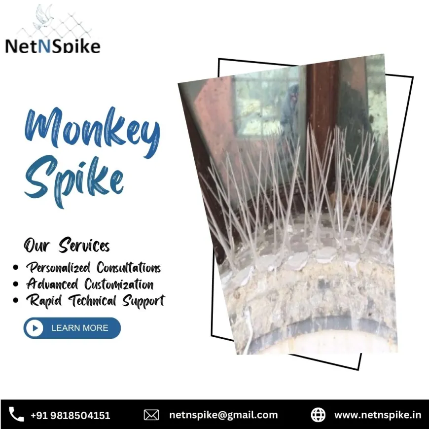 Protect Your Property with Monkey Spike: The Final Power for Monkeys Handling