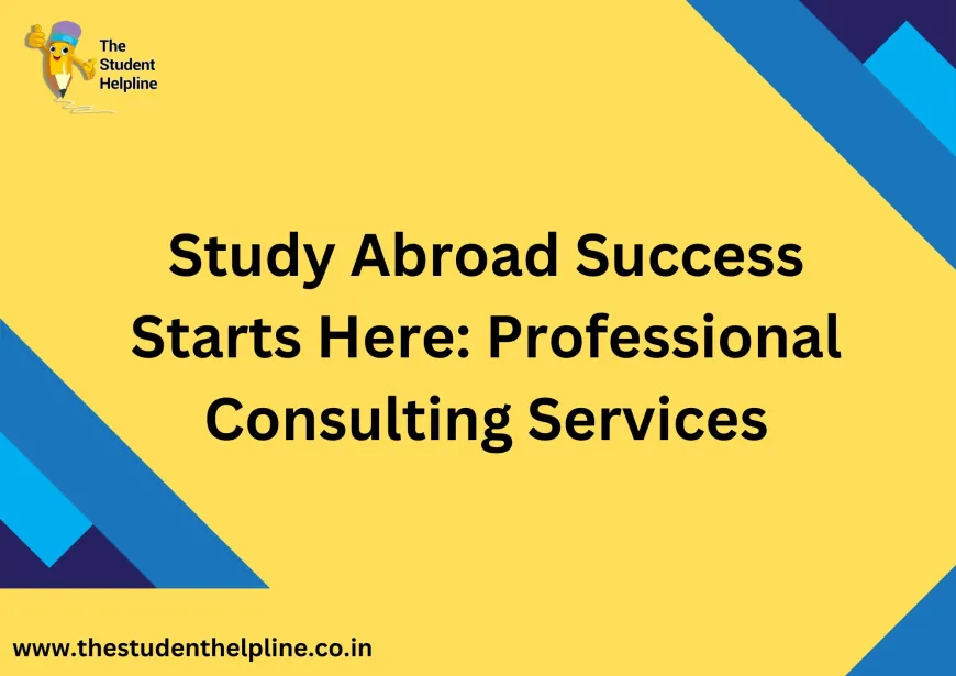 Study Abroad Success Starts Here: Professional Consulting Services