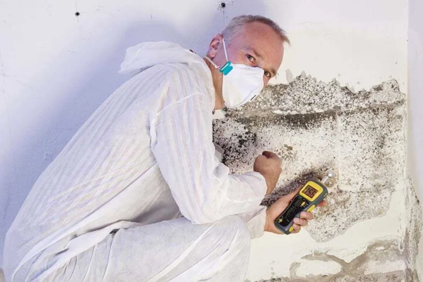 How Do Experts Test for Mold?