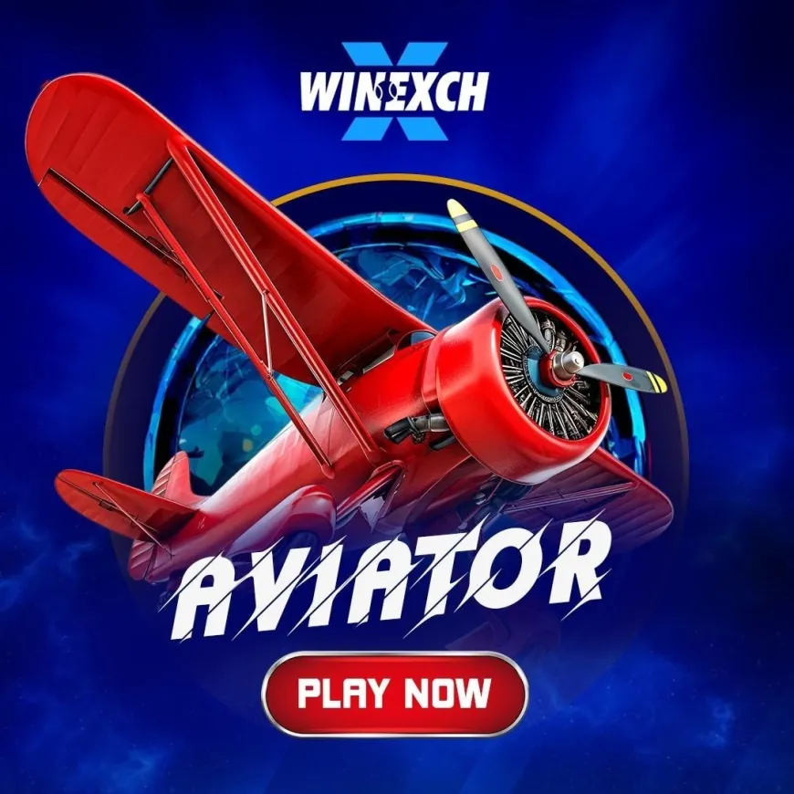 How to Win Big on the Real Aviator Game on Winexch