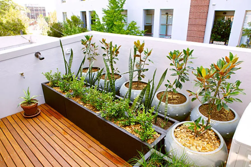 Choosing the Right Materials for Your Patio Garden Planters