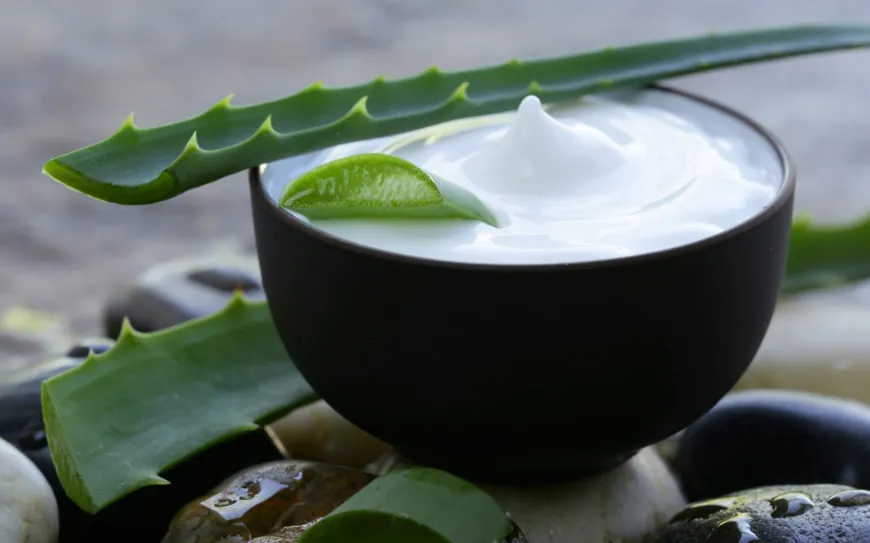 Aloe Vera Products Market to Flourish at a CAGR of 4.1% Driven by Growing Demand for Natural Skincare Products