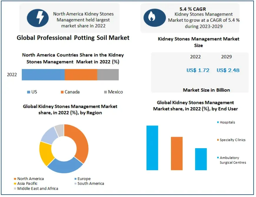 Kidney Stones Management Market Share, Growth Opportunities, and Forecast 2023 to 2029