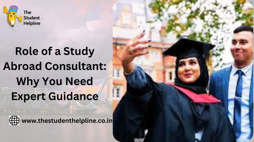 Role of a Study Abroad Consultant: Why You Need Expert Guidance