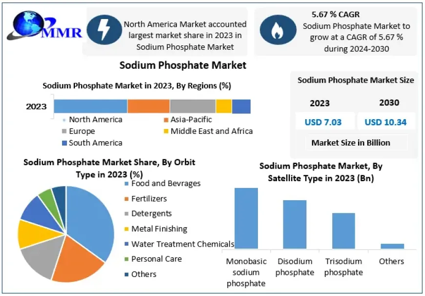 Sodium Phosphate Market Forecast: Comprehensive Analysis of Size, Share, and Revenue Trends from 2024 to 2030