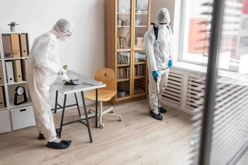 Why Bedrooms Are Dust Mite Hotspots and How to Treat Them