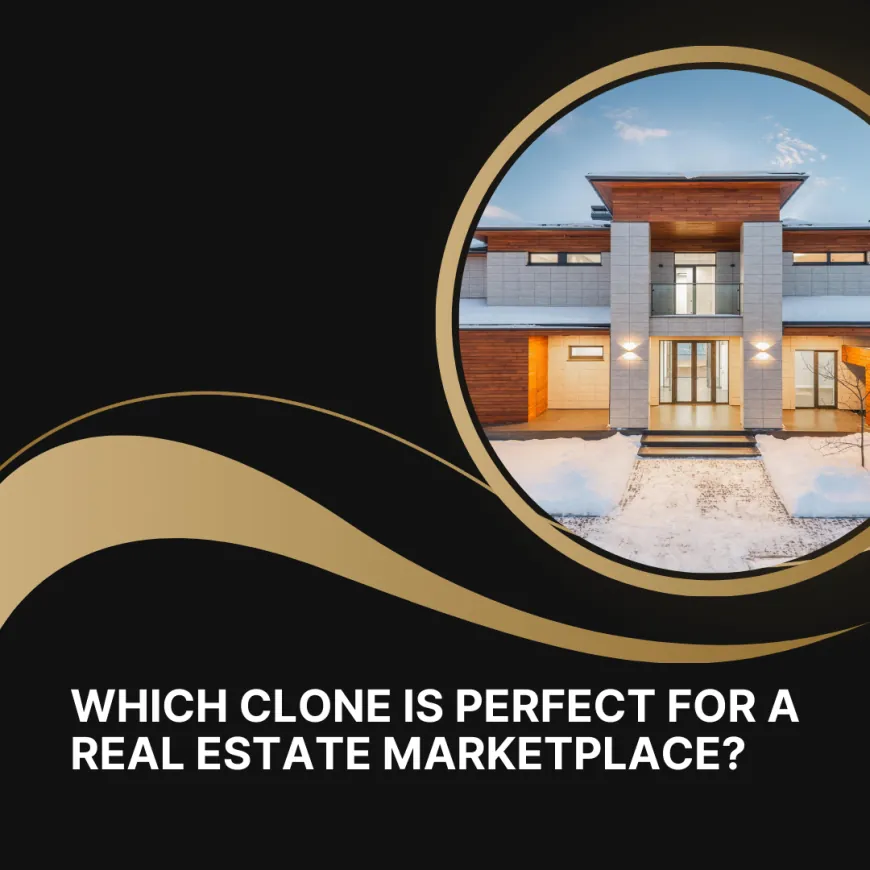 Which Clone is Perfect for a Real Estate Marketplace?