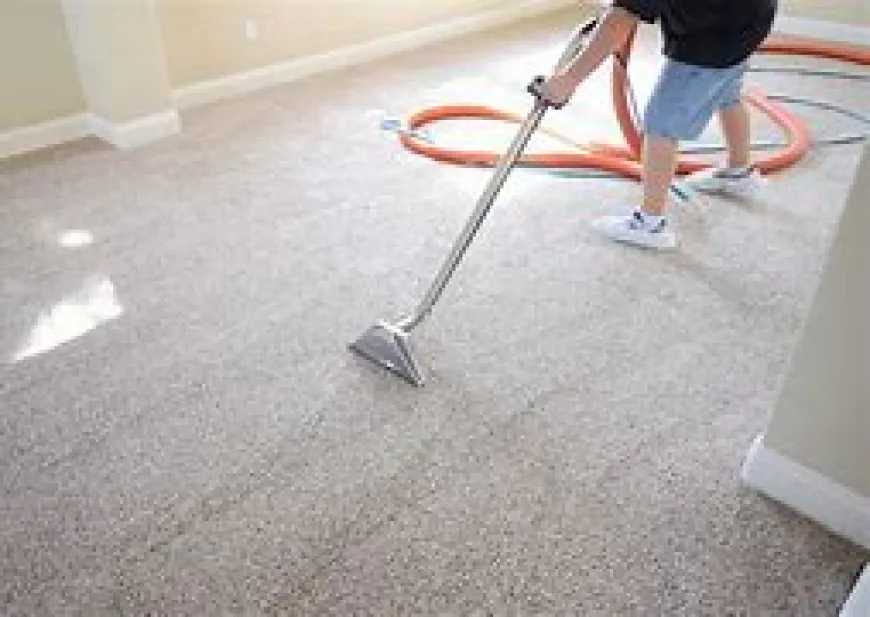 The Role of Professional Carpet Cleaning in Creating a Comfortable Home