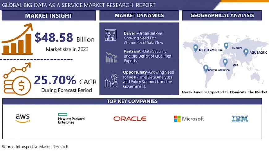 Big data as a Service Market Size, Share, Growth, and Opportunities by - 2032 | IMR