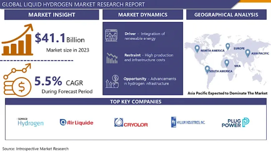 Liquid Hydrogen Market Share, Growth Analysis and Revenue | IMR