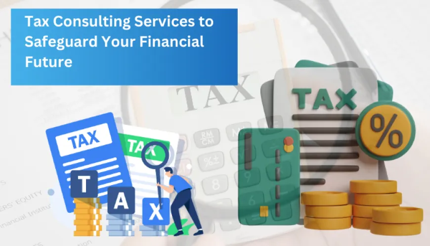 Tax Consulting Services to Safeguard Your Financial Future