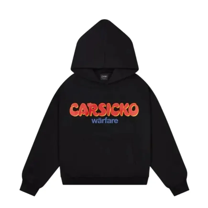 Carsicko A Journey Through Motion Sickness and Mental Discomfort