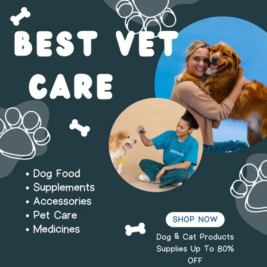 How Best Vet Care's Revolution Flea Treatment Keeps Your Pet Happy and Healthy