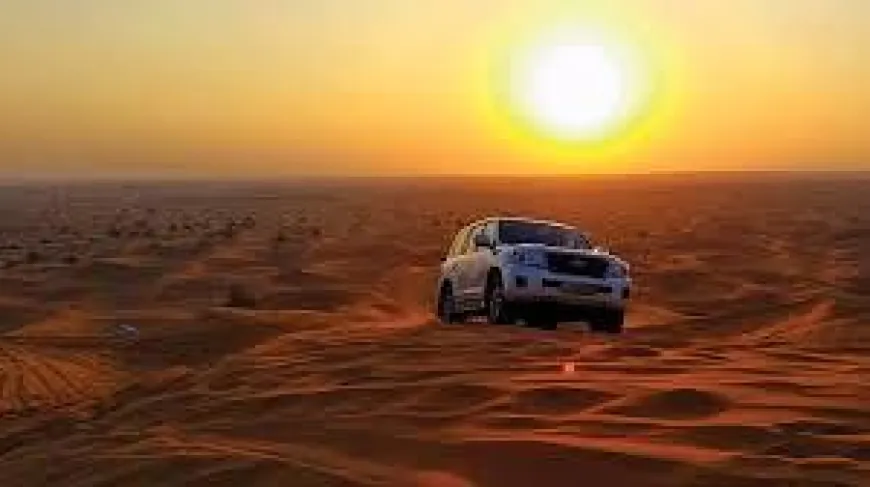 Discover the Magic of Dubai with a Morning Desert Safari