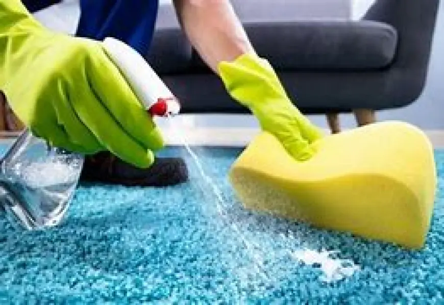 Why Regular Carpet Cleaning Is Vital for Home Health and Comfort