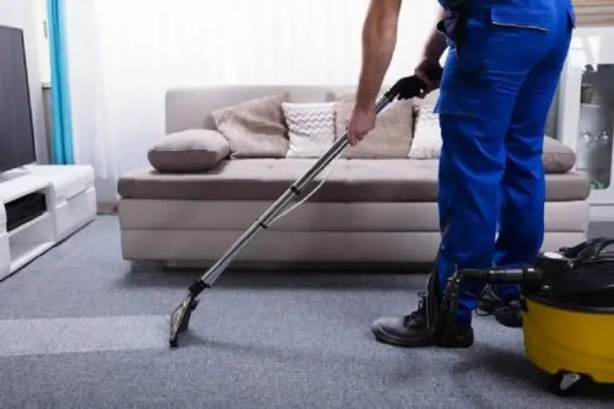 TWG Cleaning Services Ltd Launches Professional Dusting Garage Removal Service in London