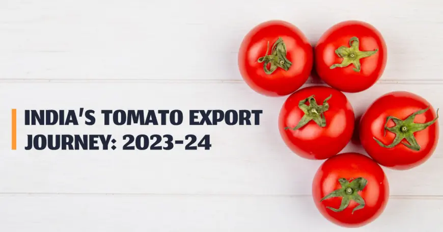 India’s Tomato Export Journey: 2023-24