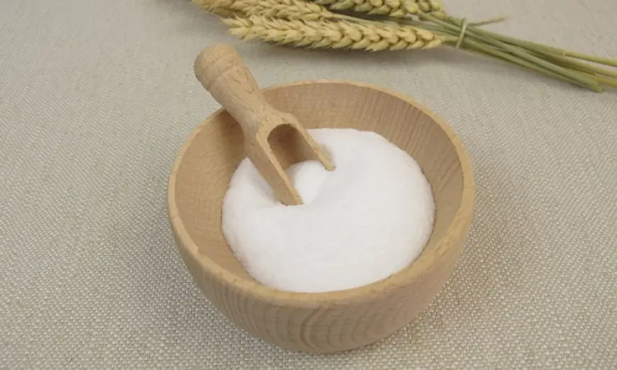 Wheat Starch Market Trends, Applications, and Future Outlook (2024-2032)