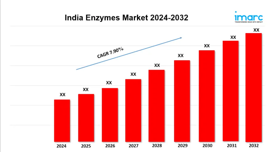 India Enzymes Market Report 2024, Industry Trends, Segmentation and Forecast Analysis Till 2032