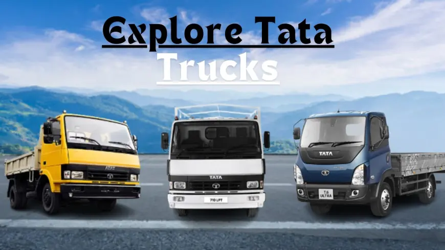 Exploring Tata Mini Trucks, Tippers, and 10-Wheeler Trucks