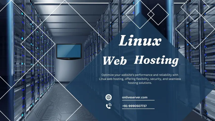 Linux Web Hosting: Best for Small Business and Big Organization