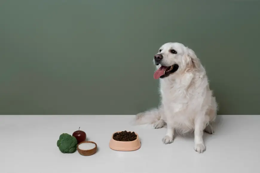 Probiotic Supplements vs. Food: What’s Better for Your Dog?