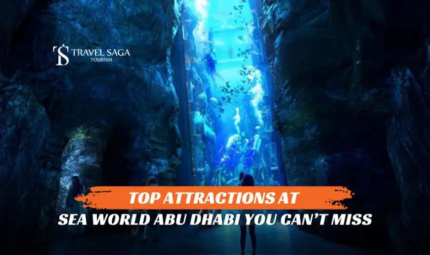 Top Attractions at Sea World  Abu Dhabi You Can’t Miss